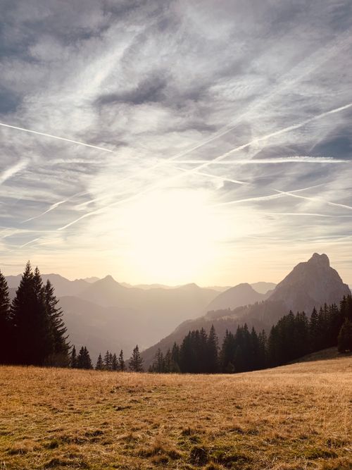 Free Tranquil sunset over mountain highlands with a silhouette of pine trees and wispy clouds. Stock Photo