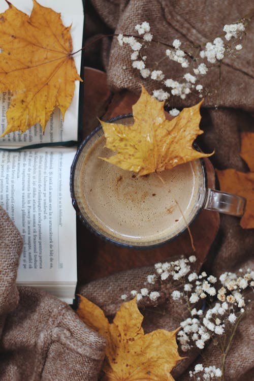 Autumn Decoration with Coffee and Book