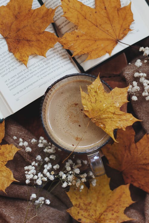 Autumn Decoration with Coffee and Book