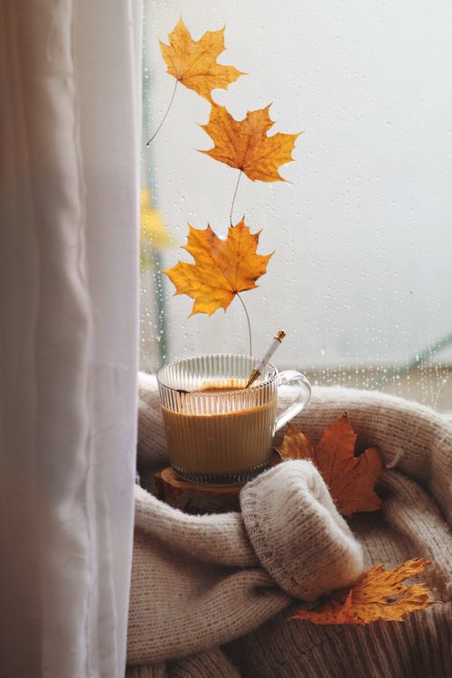 Free Warm cup of coffee by a rain-kissed window, with autumn leaves and a cozy sweater. Stock Photo