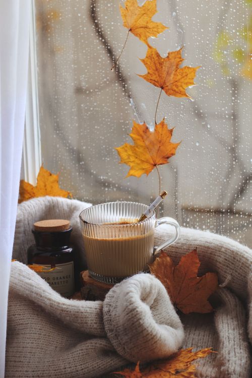 Free Warm and inviting autumn setup with hot cocoa and sweater by rainy window. Stock Photo