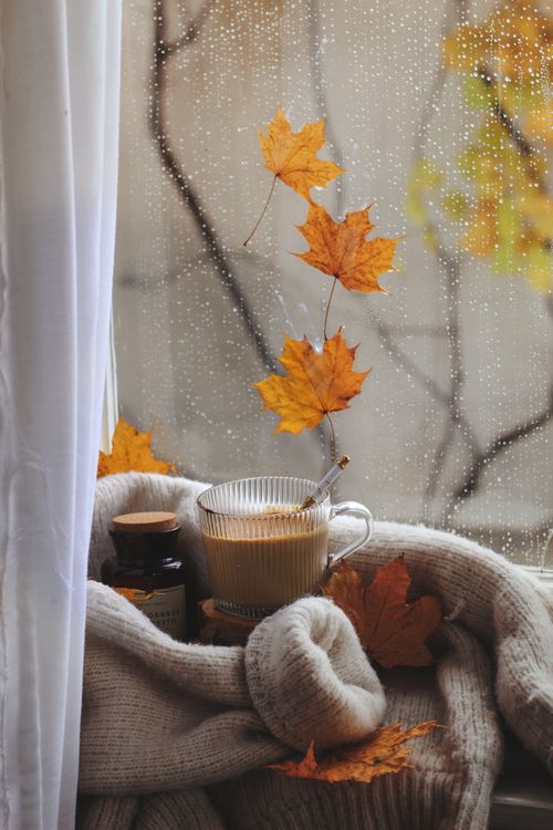Free Warm coffee by rain-speckled window with autumn leaves creates a cozy fall atmosphere. Stock Photo