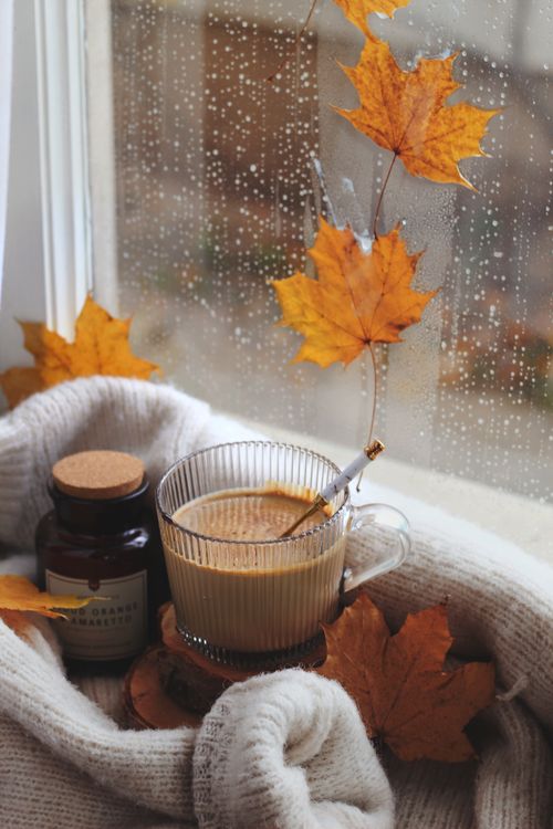 Free Warm cup of coffee by a rainy window with autumn leaves and a cozy blanket. Stock Photo