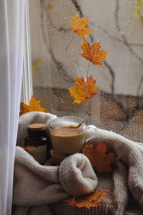 Darmowe zdjęcie z galerii z dekoracja, deszcz, filiżanka kawy