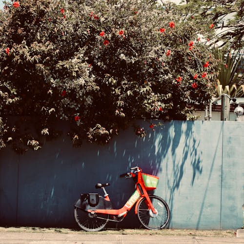 Bicycle Under The Shade