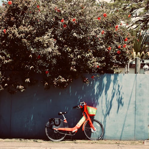 Foto profissional grátis de bicicleta, moda antiga