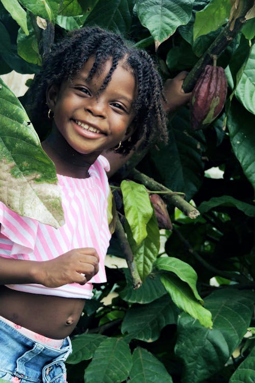 бесплатная Девушка улыбается под зеленым деревом какао Стоковое фото