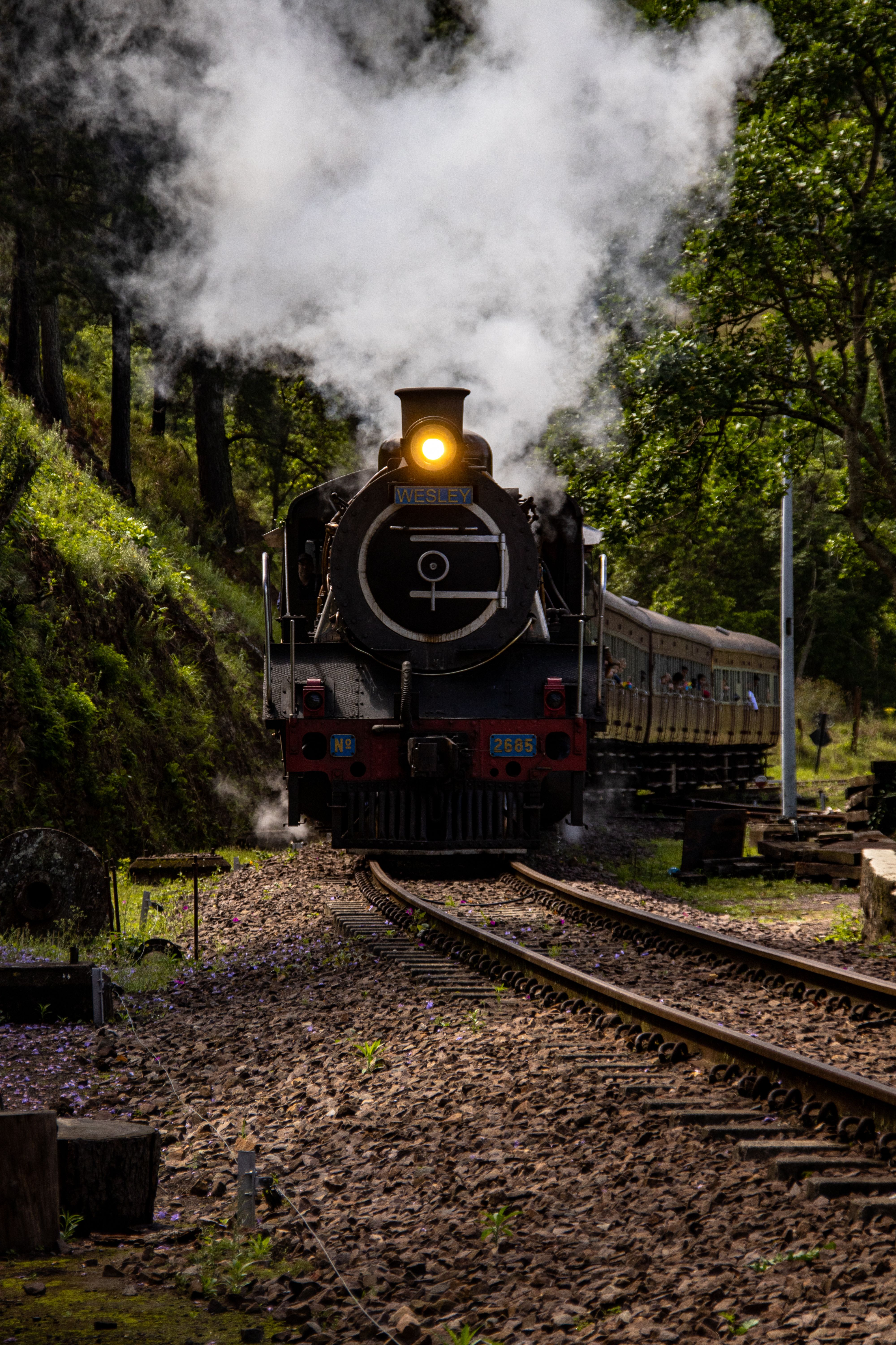 Rovos Rail train passing through African scenery