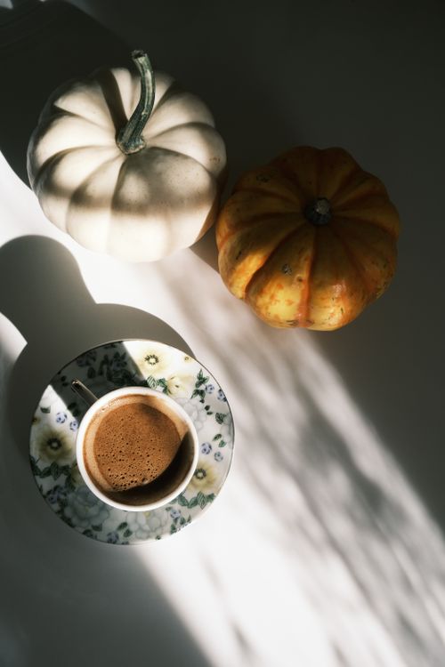 Free Cozy autumn scene with coffee and pumpkins casting soft shadows. Stock Photo