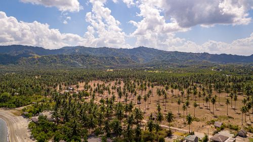Free Stunning aerial view of coconut plantation with mountains and beach in a tropical setting. Stock Photo