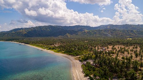 Free Aerial view of a tranquil tropical coastline with coconut trees and mountains in the background. Stock Photo
