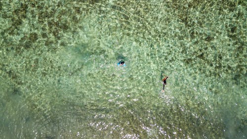 People in Lake in Birds Eye View