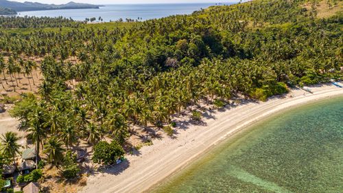 Free Breathtaking aerial view of a tropical beach with lush coconut trees and turquoise waters, perfect for summer escapes. Stock Photo