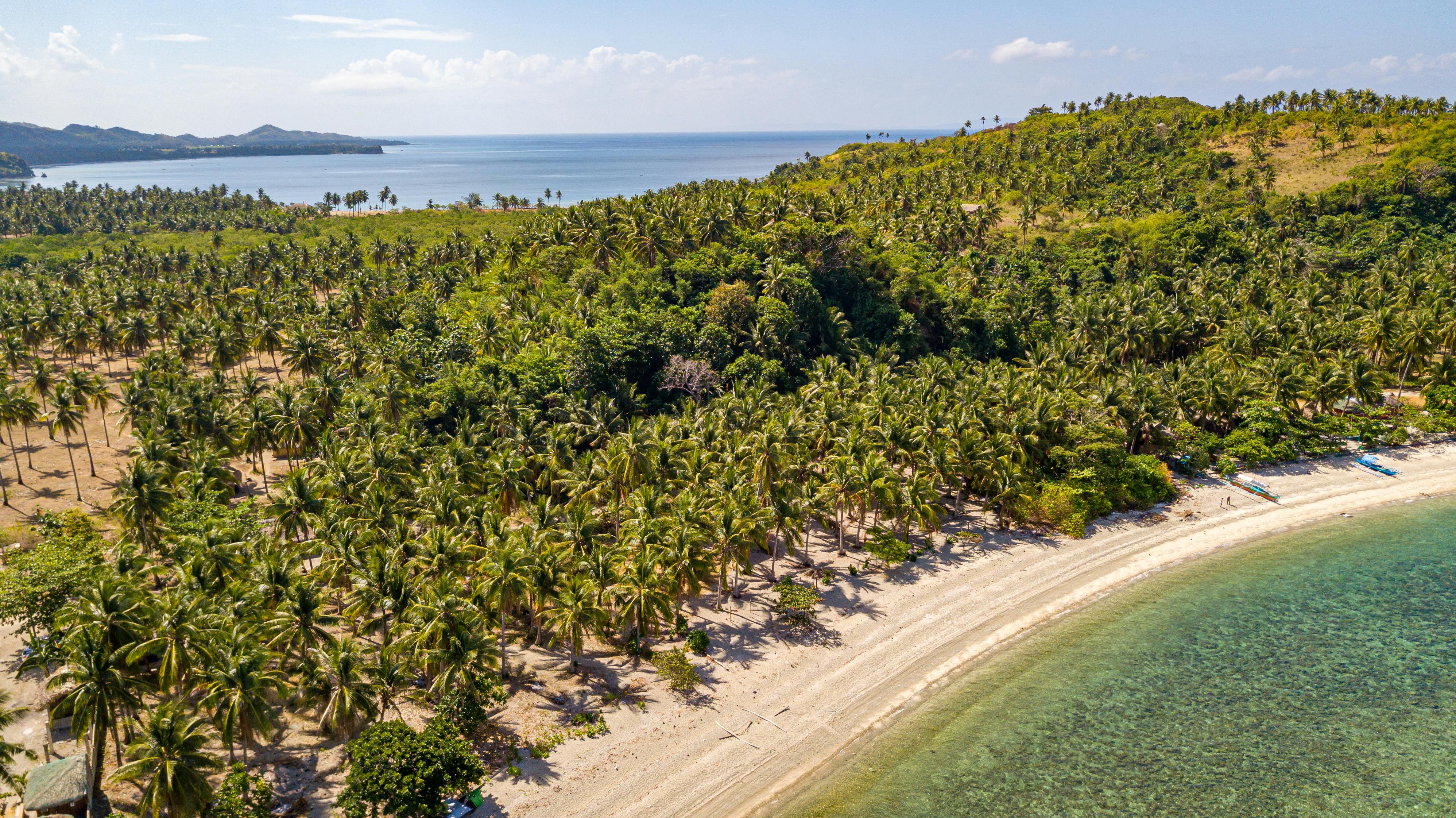 Serenity Awaits: Welcome the Tranquil Vibes of Friday Mornings