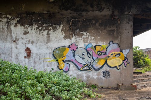 Бесплатное стоковое фото с бетон, бирка, граффити