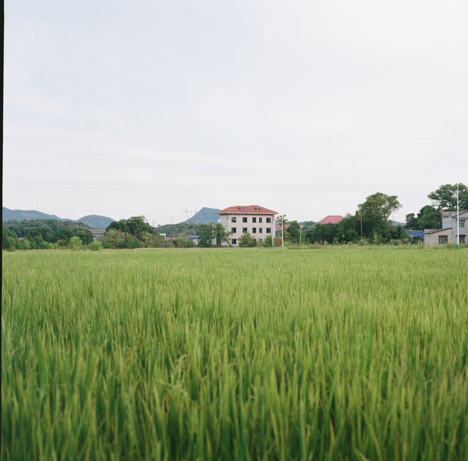 A tranquil rural landscape with green fields and distant cottages under a calm sky.