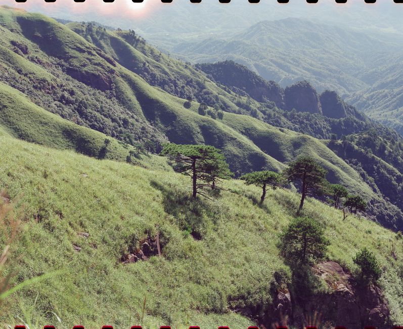 Scenic view of lush green mountains with trees under clear summer skies in a film-inspired photograph.