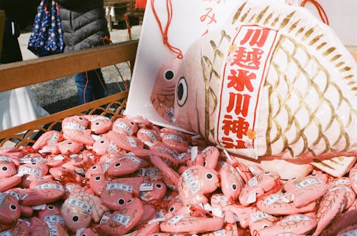 Merchandise in a Sea Food Market 