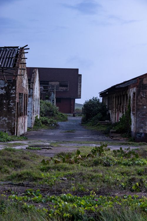 Free A moody view of deserted industrial buildings amidst greenery in Durban, South Africa. Stock Photo