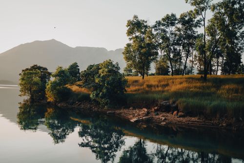 Free Serene lakeside scene with trees and mountains at Mulshi, Maharashtra, India. Stock Photo