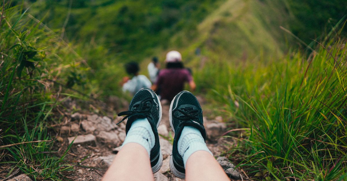 A person enjoys a hillside view, wearing sneakers on a hiking trail surrounded by greenery.