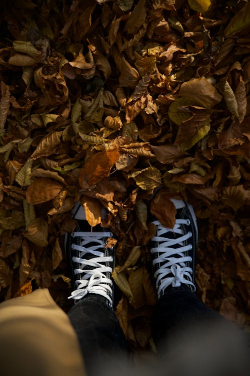 Person Standing in Autumn Leaves 