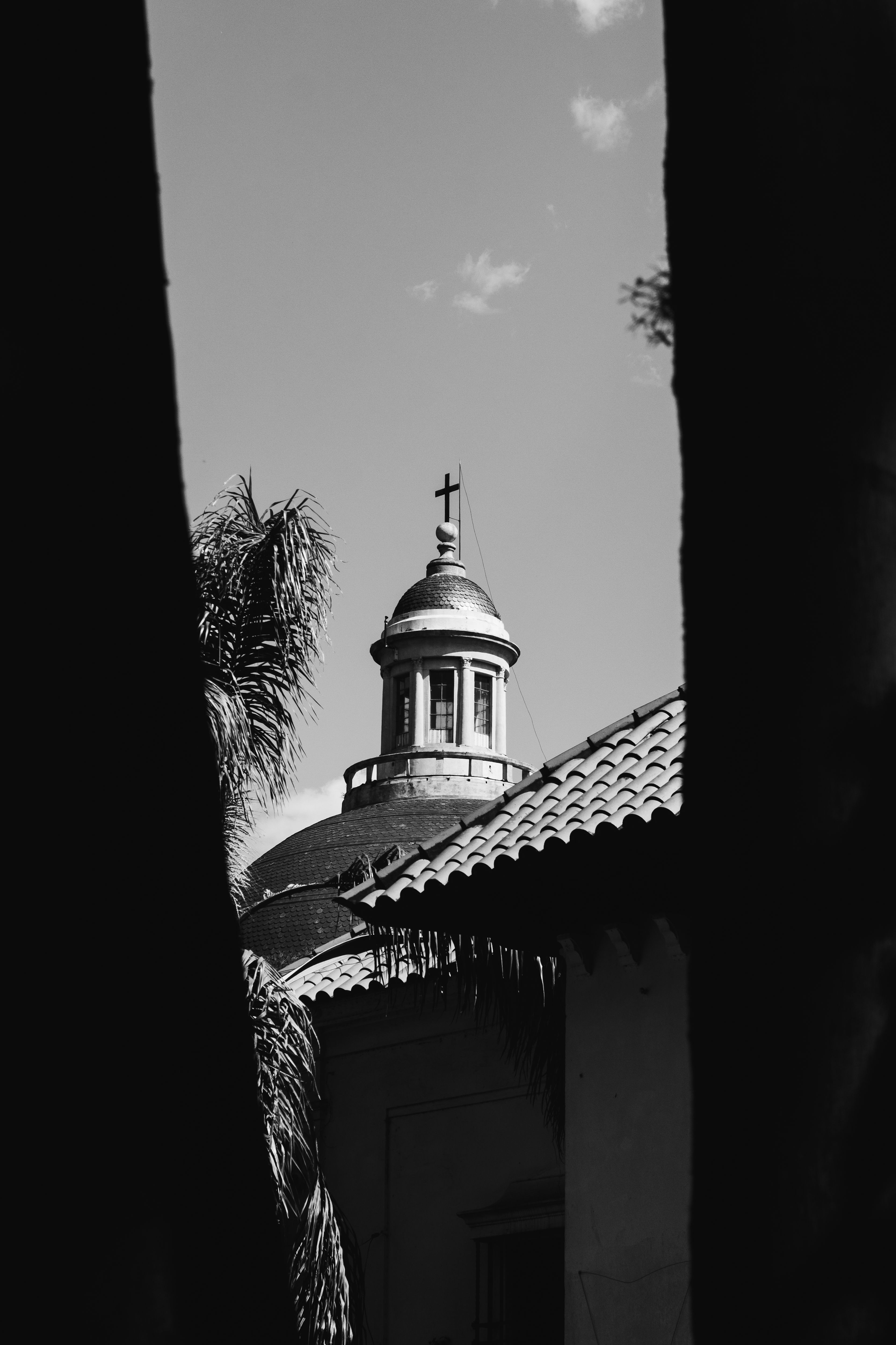 Striking black and white capture of a church tower peeking through palm trees in Buenos Aires.