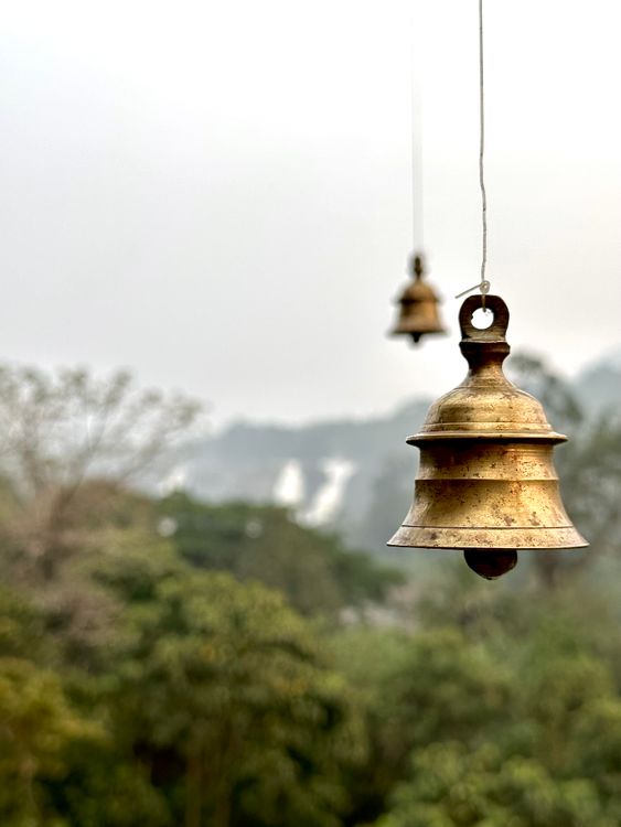 Beautiful Bells Ringing Close-up of Hanging Brown Bells on the Background of Trees · Free Stock ...
