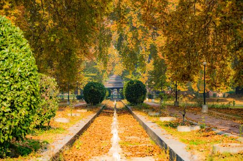 Free Capture of a tranquil autumn pathway surrounded by lush foliage in a peaceful park setting. Stock Photo
