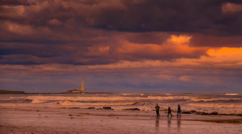 People Walking on Beach Shore
