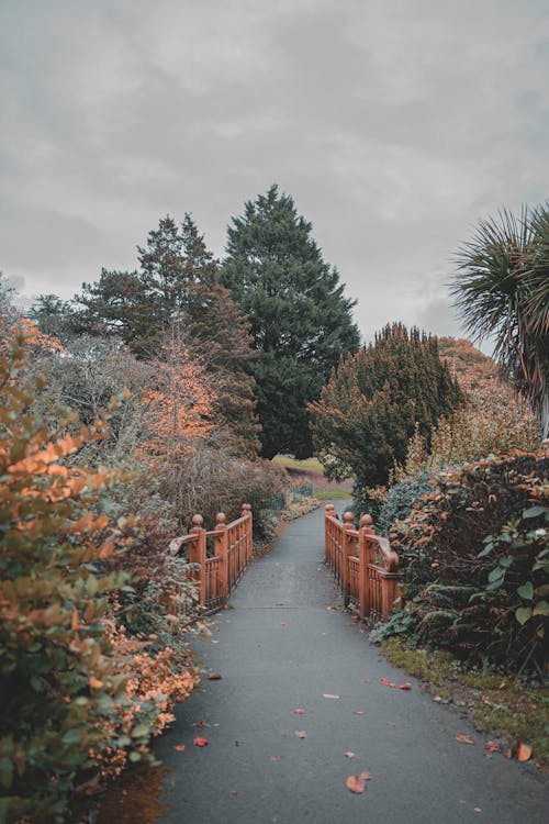 Free A Gloomy Day at a Park Stock Photo