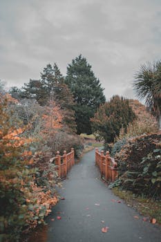 Tranquil autumn park scene with a pathway lined by vibrant foliage and a wooden bridge.