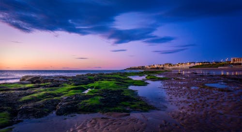 Ingyenes stockfotó este, festői, strand témában