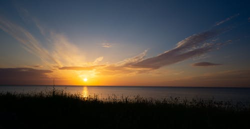 Grass Field Near Body of Water during Sunset