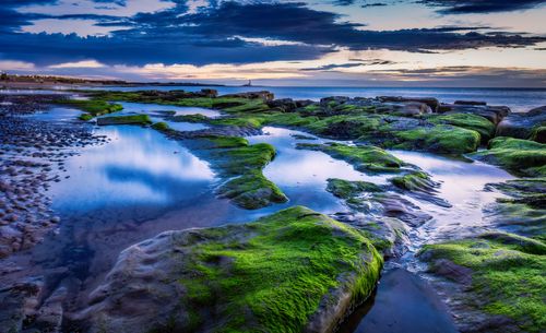 Free Capture of vibrant mossy rock formations by the ocean at sunset, creating a serene seascape. Stock Photo