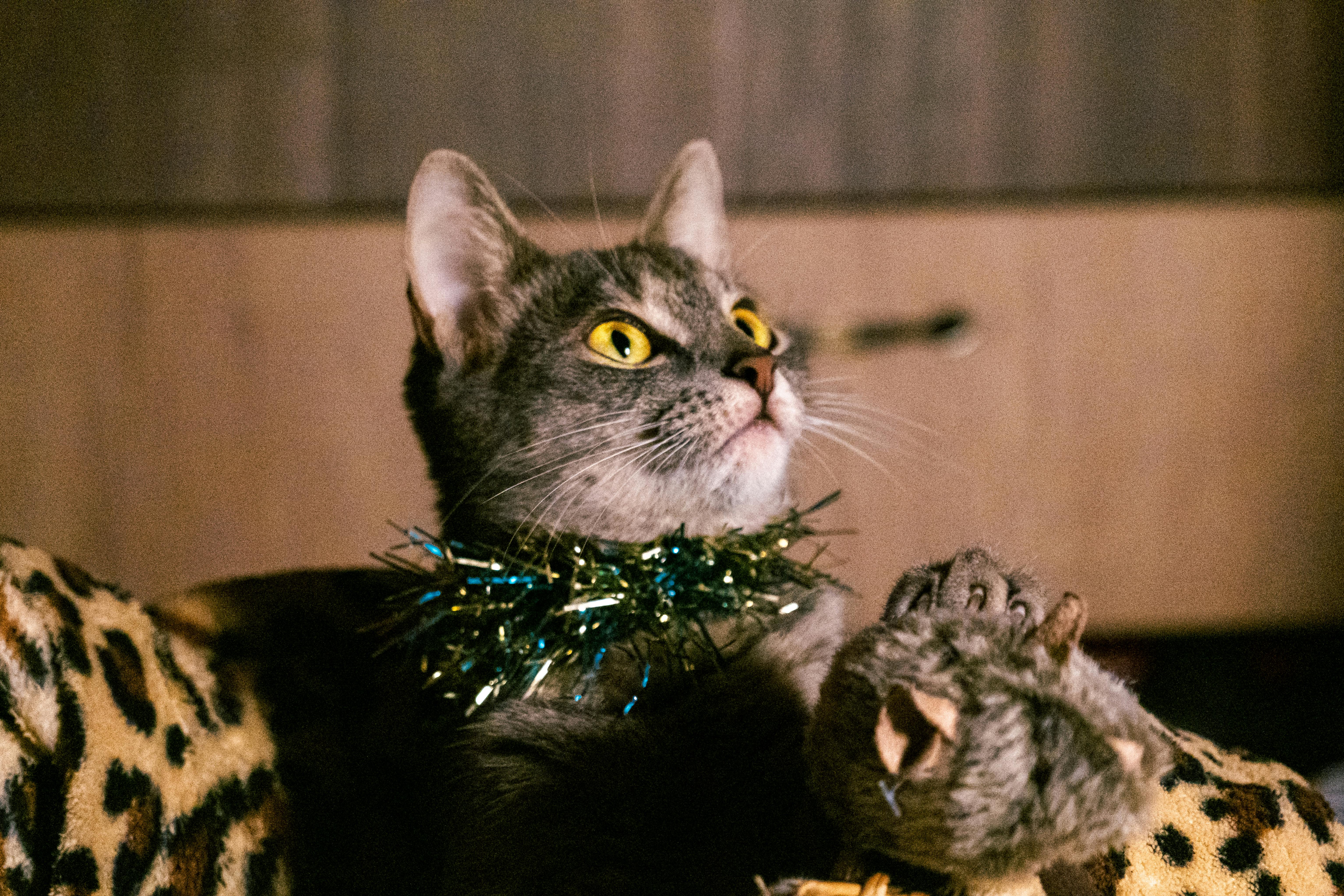 bild_mit_lustige namen_8