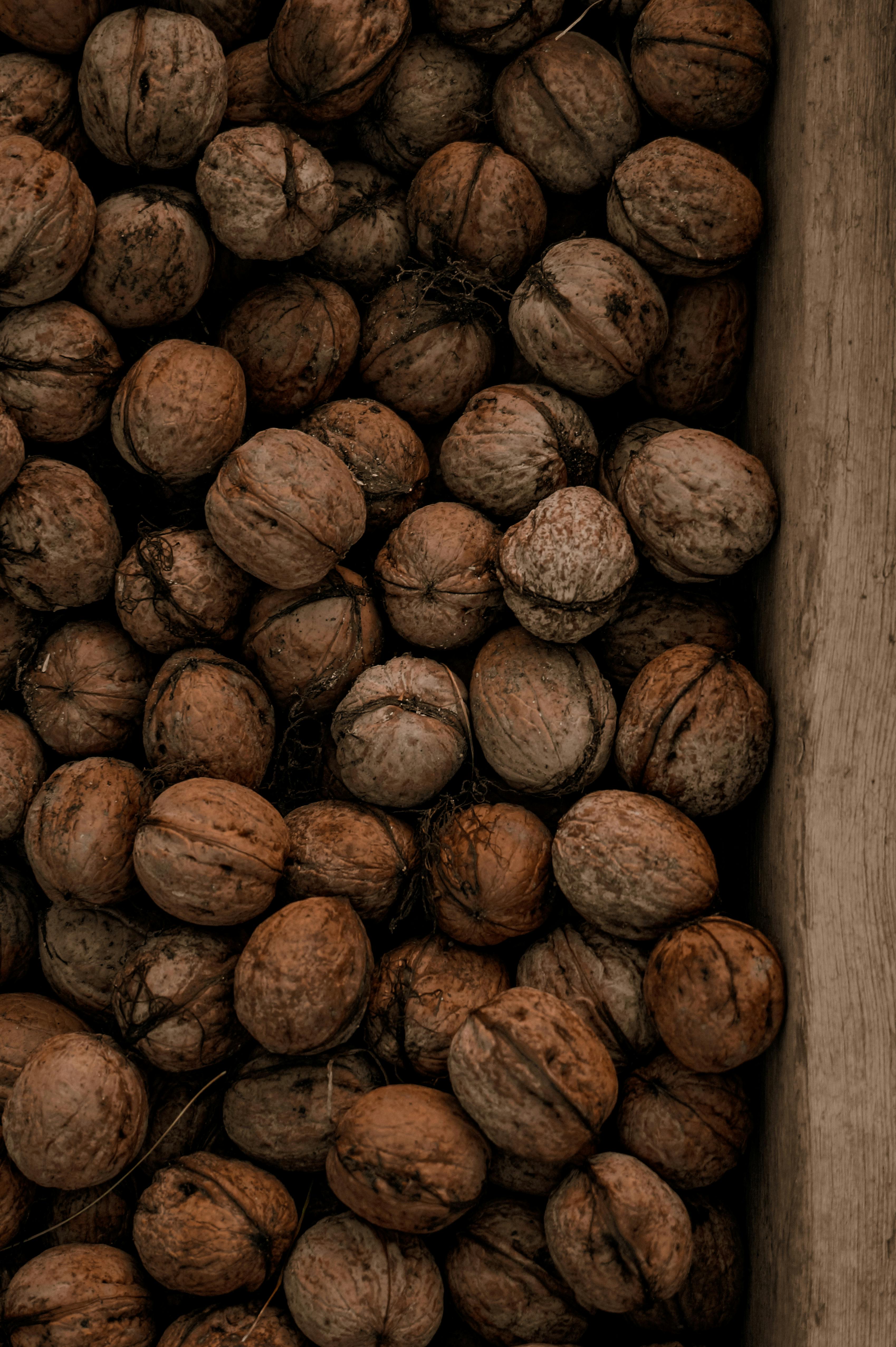 Are we running out of food 2022?