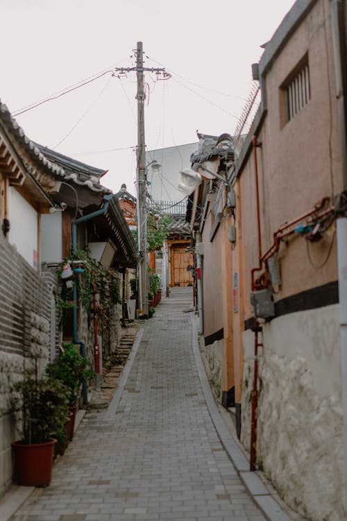 An Alleyway between Buildings