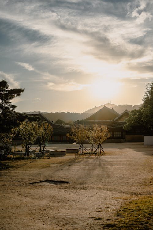 Buildings near the Trees