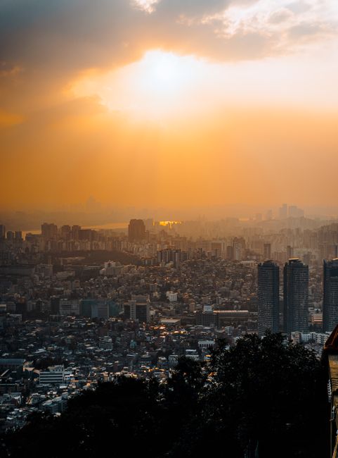 서울 5스타 호텔 객실에서 바라본 파노라마 도심 뷰