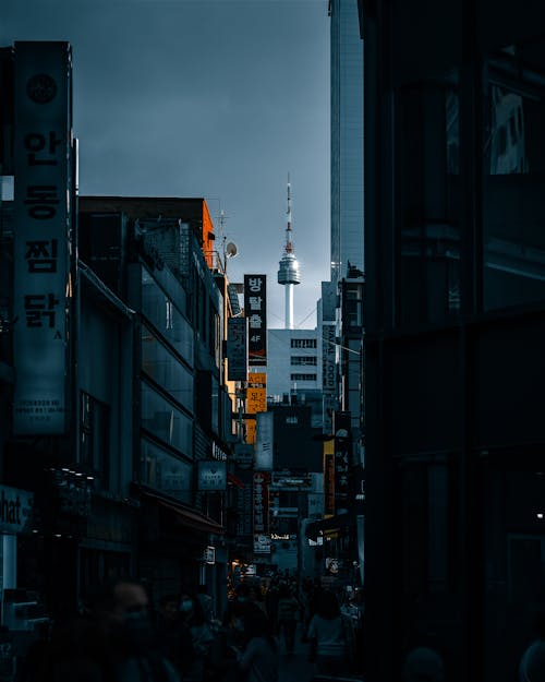 Foto stok gratis city street, distrik pusat kota, gelap