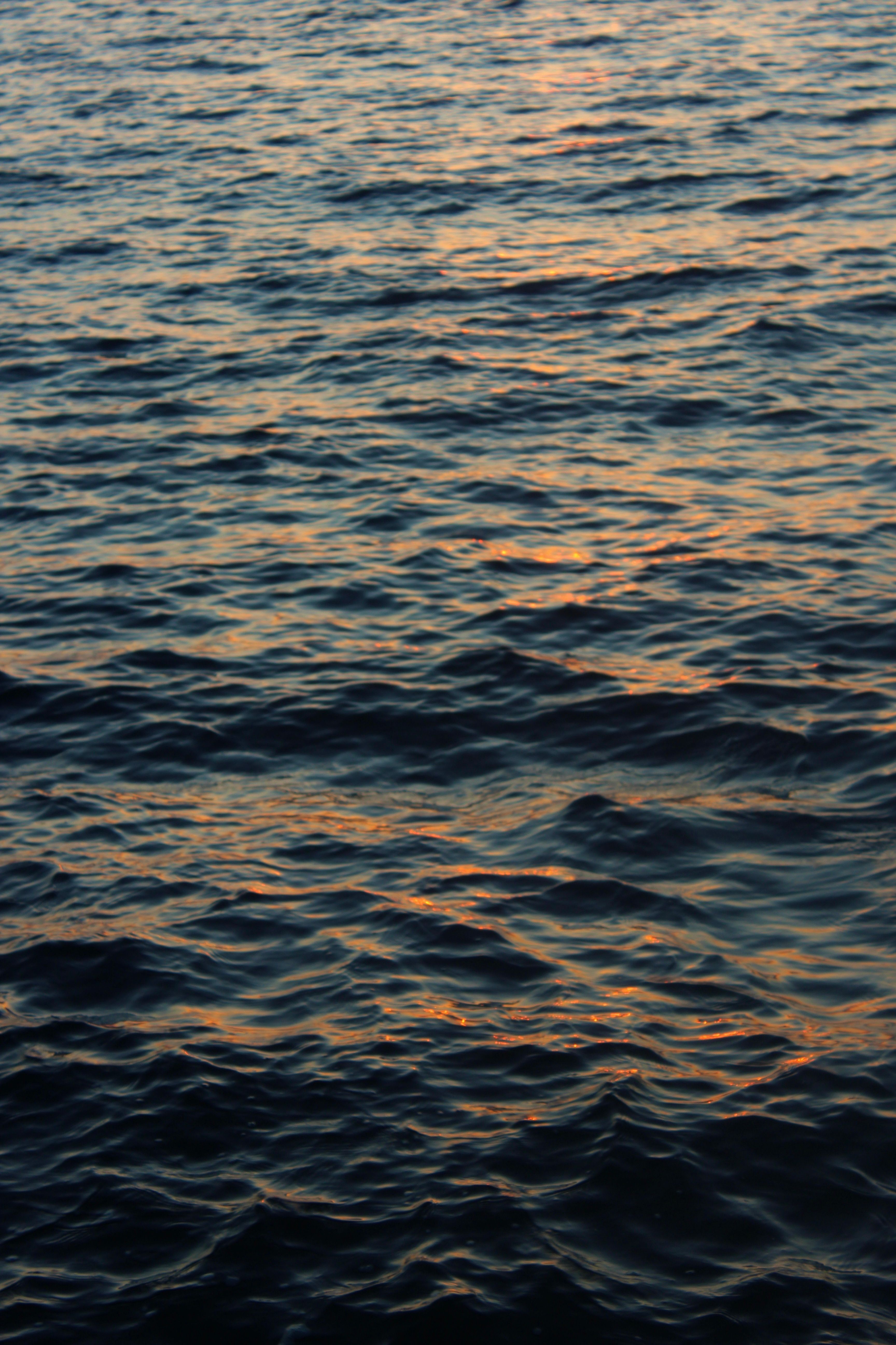 Sun Shining on the Surface of the Sea · Free Stock Photo