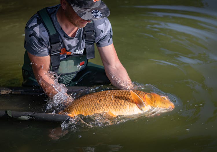 A Man Holding A Caught Fish