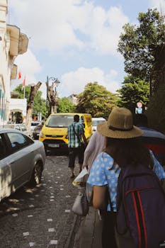 在凯塞里科卡西南的一条繁忙街道上，人们开着车，两旁树木林立