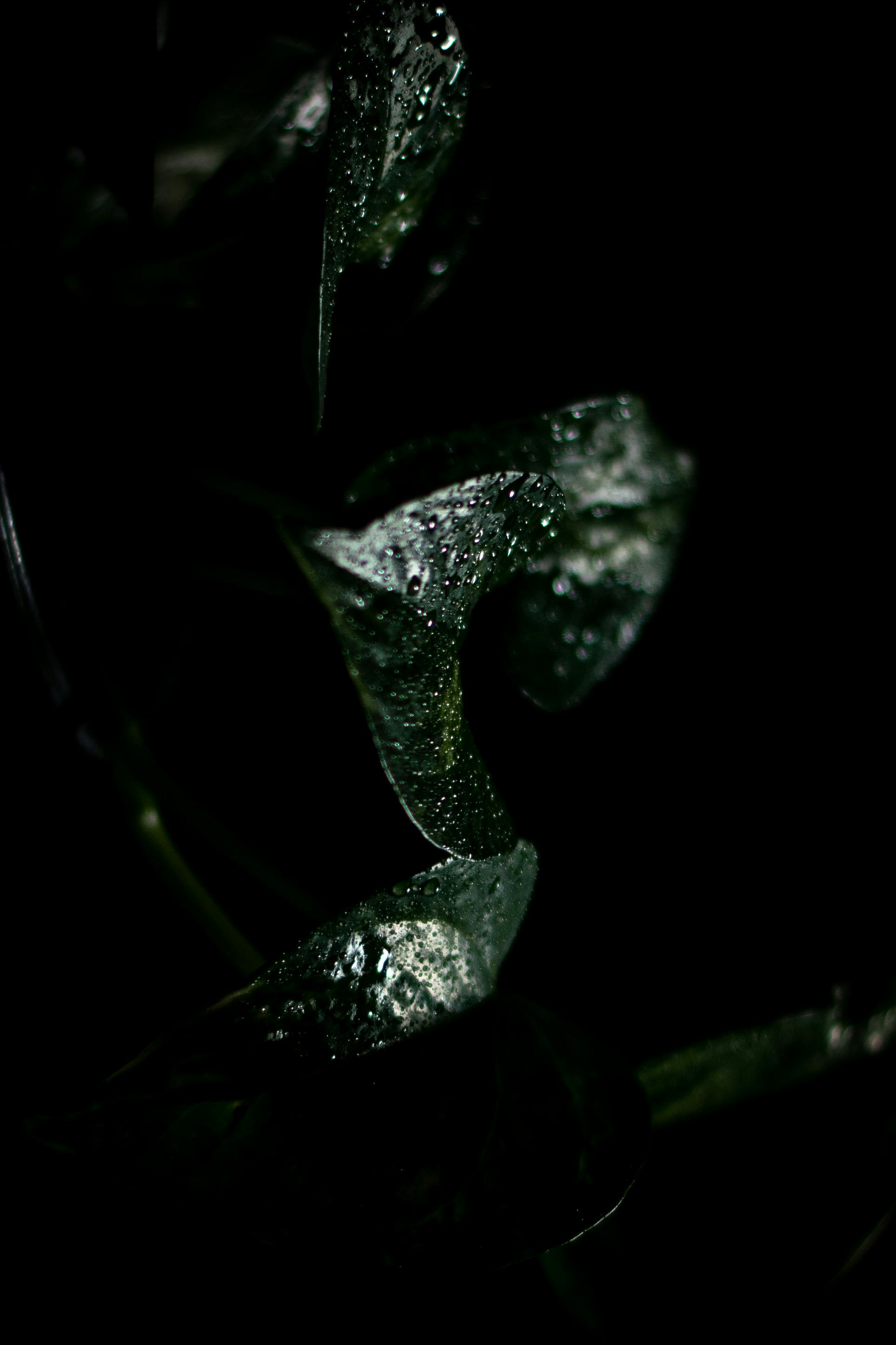 How much has the average 401K dropped in 2022?