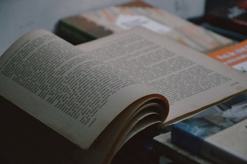 Free stock photo of book lovers Stock Photo