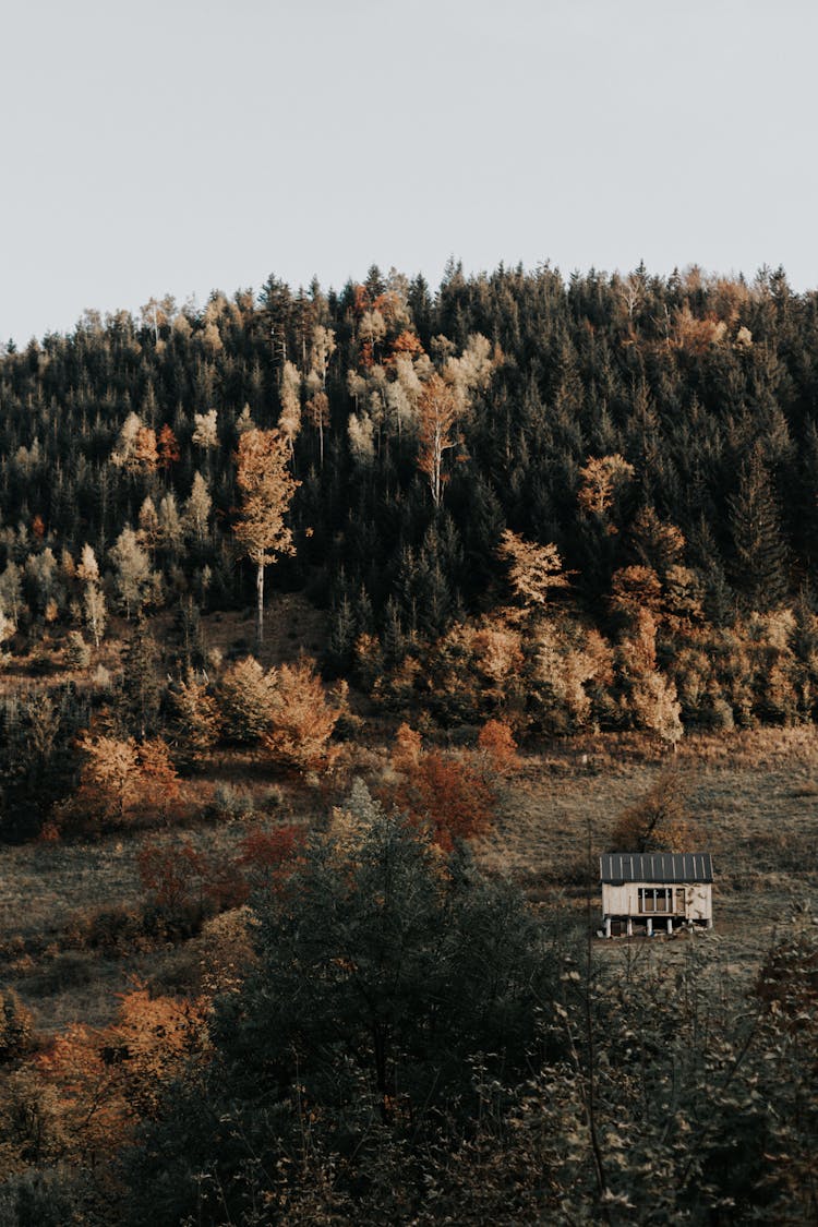 A Cabin Near The Mountain