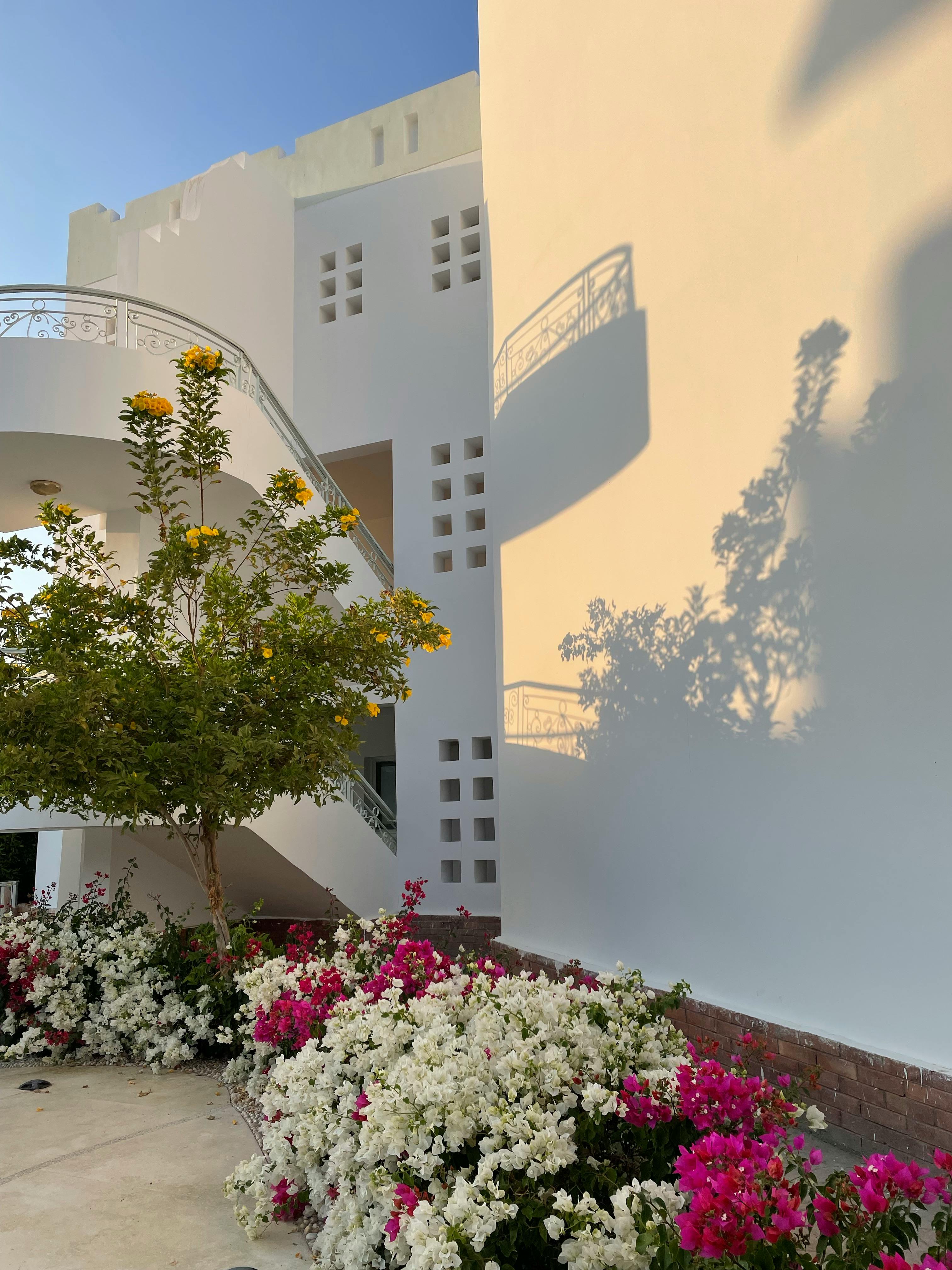 What causes a family to be dysfunctional?