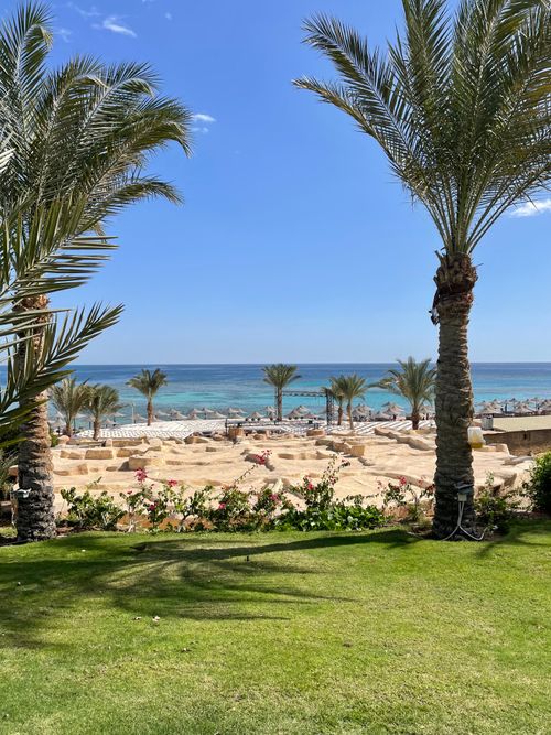 Free Serene tropical beach view with palm trees and clear blue sea. Stock Photo