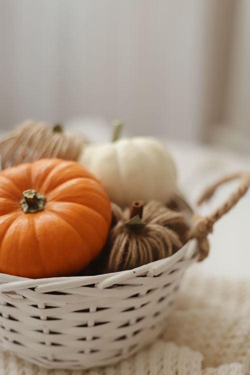 Free Cozy fall scene with pumpkins and wool decor in a woven basket, ideal for seasonal themes. Stock Photo